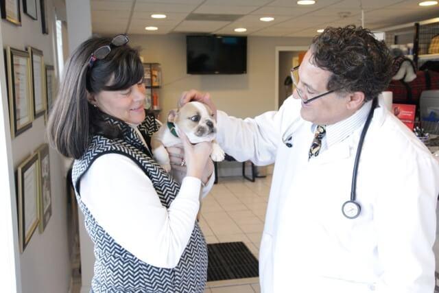 Opportunities At All Pets Veterinary Hospital | All Pets Vet Hospital